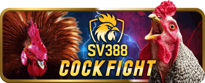 Cookie của bên thứ ba tại zet bet